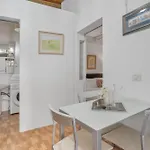 Habitacion-estudio شقة